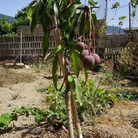 Casa Rural En Tenerife * Guimar