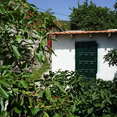 Chalet Casa Rural En Tenerife Guimar