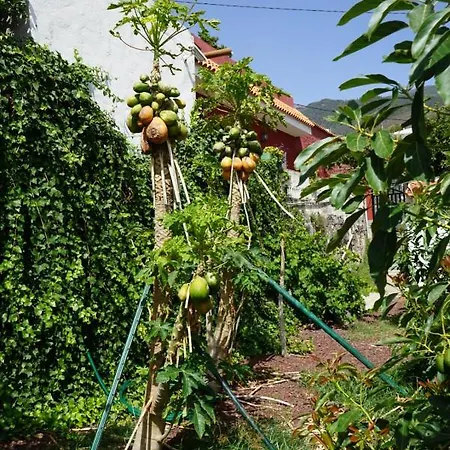 Chalet Casa Rural En Tenerife *