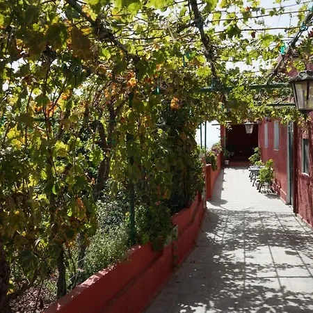 Chalet Casa Rural En Tenerife Guimar