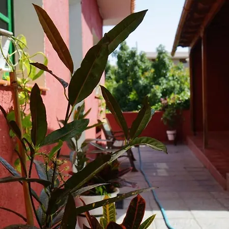 Casa Rural En Tenerife * Guimar